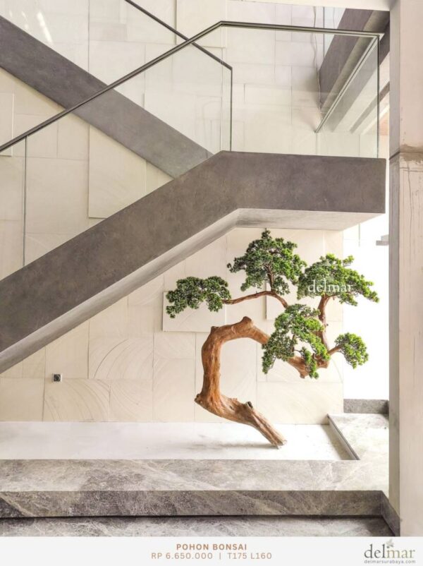 Pohon Bonsai for Staircase Garden