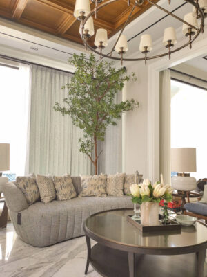 Pohon Pieris for Living Room - Image 4