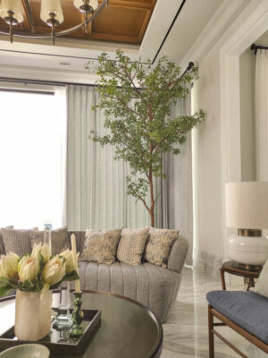 Pohon Pieris for Living Room - Image 2