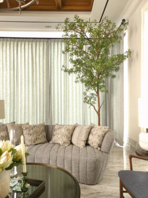 Pohon Pieris for Living Room - Image 3