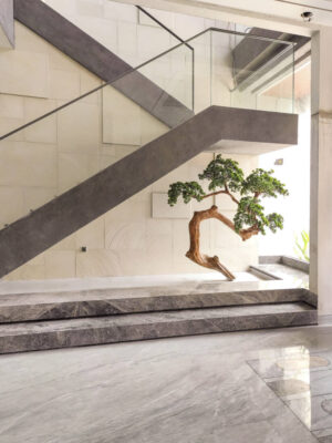 Pohon Bonsai for Staircase Garden - Image 3