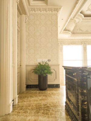 Planter Daun Asparagus for Living Room - Image 4