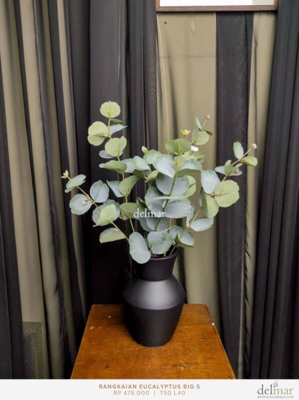 Ranting Eucalyptus untuk Coffee Table