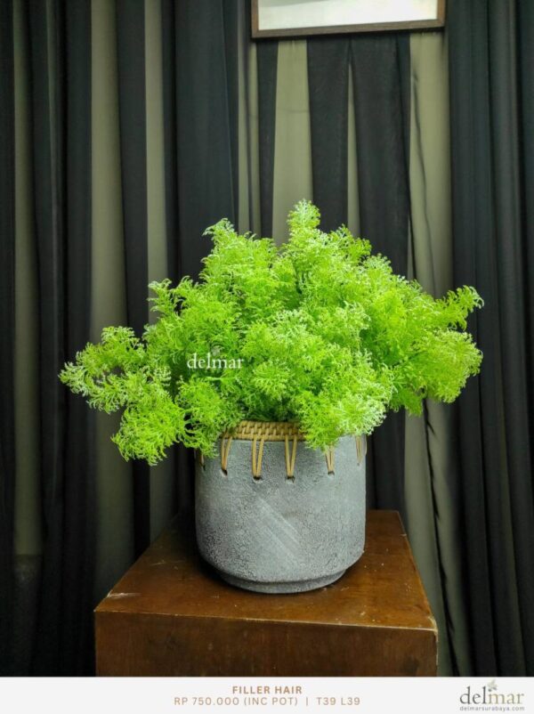 Daun Filler Hair untuk Kitchen Island