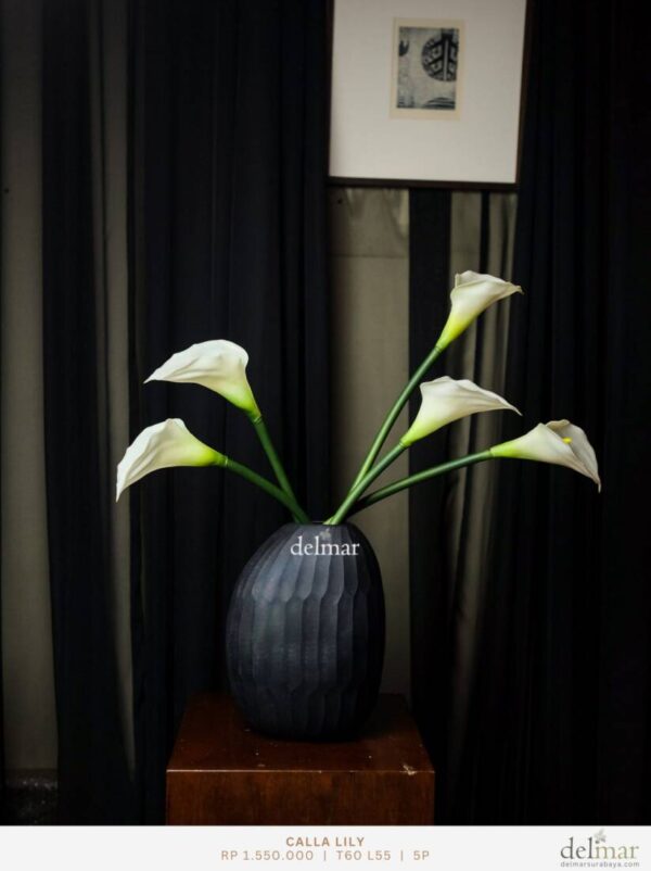 Calla Lily untuk Console