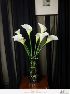 Calla Lily untuk Pantry - Image 2