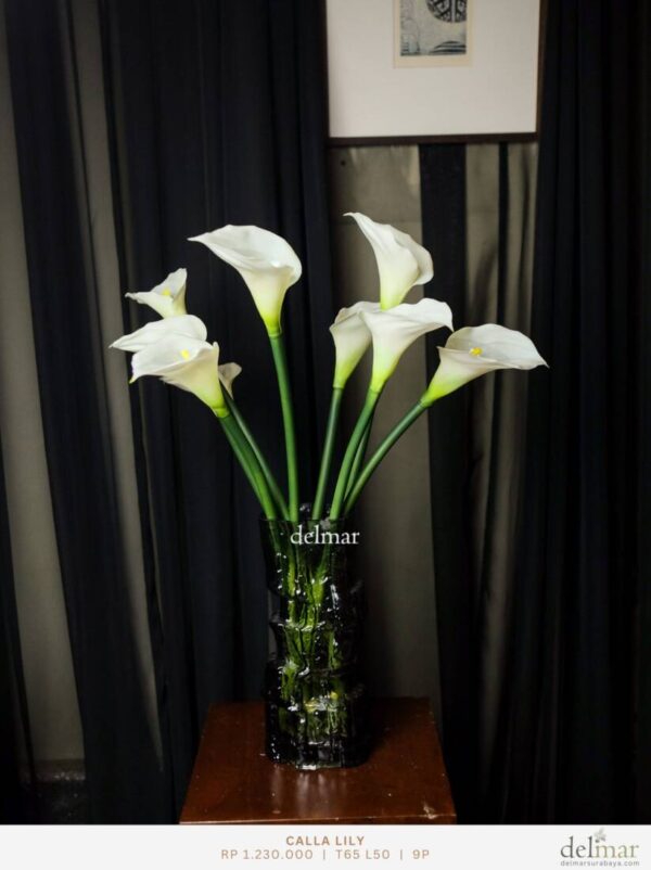 Calla Lily untuk Pantry