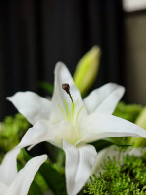 Rangkaian Casablanca & Lace Flower untuk Pantry - Image 5