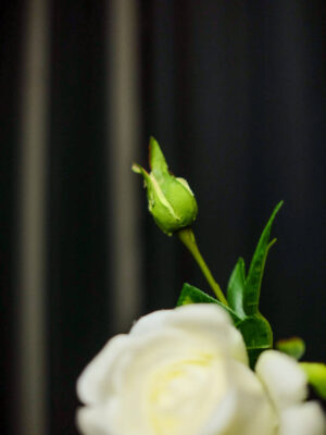 Rangkaian Rose untuk Meja Office - Image 3