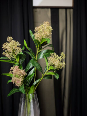 Rangkaian Skimmia untuk Meja Rias - Image 3