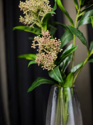 Rangkaian Skimmia untuk Meja Rias - Image 6