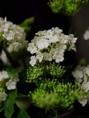 Rangkaian Viburnum untuk Nakas - Image 6