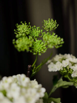 Rangkaian Viburnum untuk Nakas - Image 7