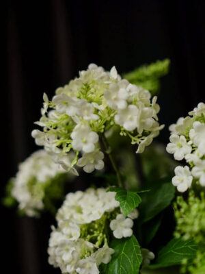 Rangkaian Viburnum untuk Nakas - Image 3