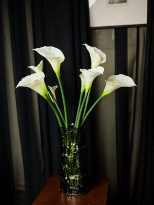 Calla Lily untuk Pantry - Image 4