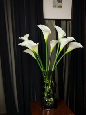 Calla Lily untuk Pantry - Image 5