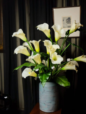 Calla Lily untuk Centerpiece - Image 4