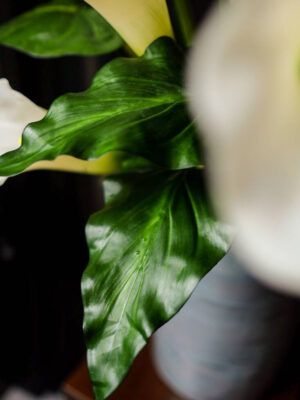Calla Lily untuk Centerpiece - Image 6