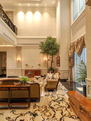 Pohon Ficus untuk Living Room - Image 3