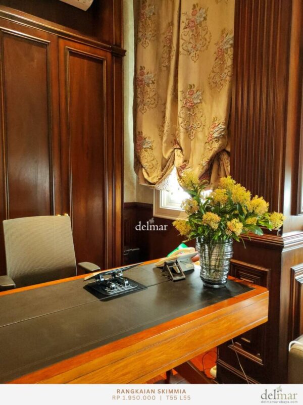 Rangkaian Skimmia untuk Meja Office
