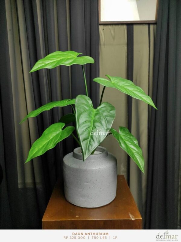 Daun Anthurium untuk Console
