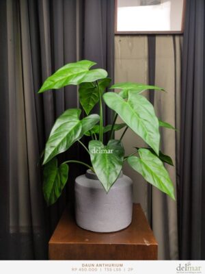 Daun Anthurium untuk Kitchen Counter - Image 2