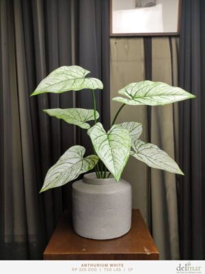 Daun Anthurium untuk Console - Image 3