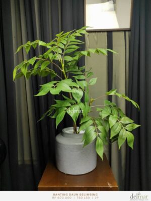 Daun Belimbing untuk Rak - Image 2
