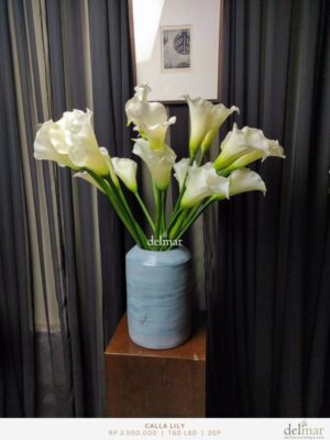Calla Lily untuk Pedestal