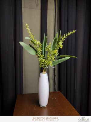 Eucalyptus Leaf Seed untuk Cafe Table - Image 3