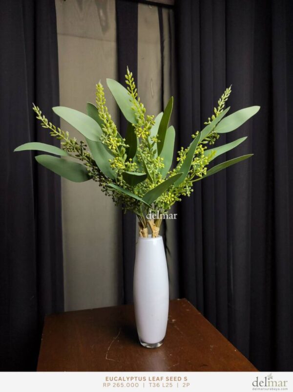 Eucalyptus Leaf Seed untuk Cafe Table
