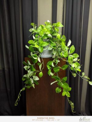 Rambatan Basil untuk Rak - Image 2