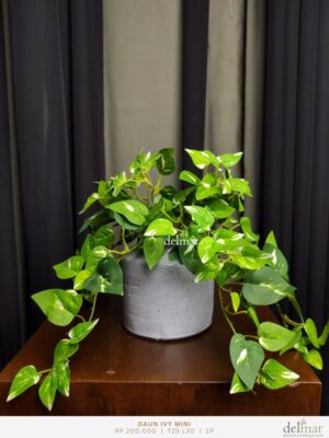 Daun Ivy Mini untuk Wastafel - Image 2