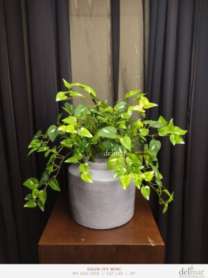 Daun Ivy Mini untuk Wastafel - Image 3
