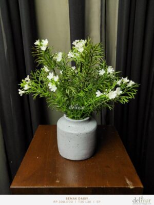 Semak Daisy untuk Meja Rias