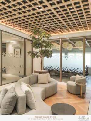 Pohon Black Olive for Office Seating Sofa