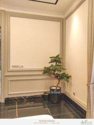 Pohon Bonsai for Office