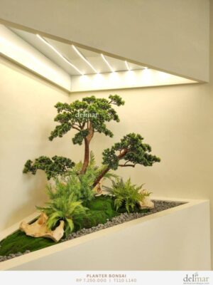 Planter Bonsai for Cafe & Restaurant
