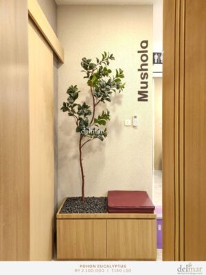 Pohon Eucalyptus for Praying Room Bench