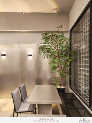 Pohon Maple untuk Coffee Shop - Image 3