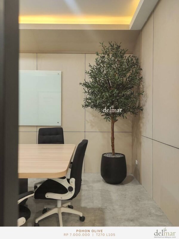 Pohon Olive untuk Meeting Room