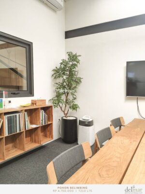 Pohon Belimbing untuk Meeting Room