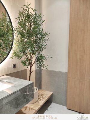 Pohon Olive untuk Powder Room