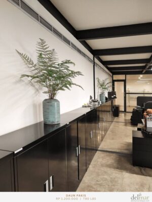 Pakis untuk Office Cabinet