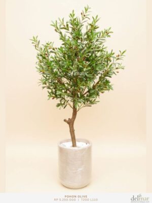 Pohon Olive untuk Office