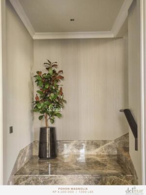 Pohon Magnolia untuk Bordes Tangga