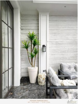 Pohon  Pandan Bali untuk Selasar